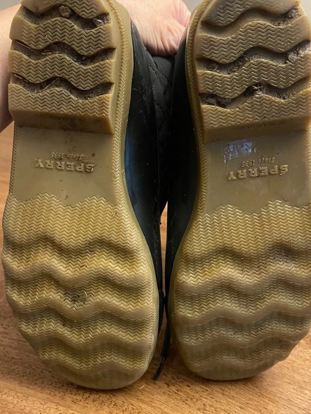 Sperry rain boots